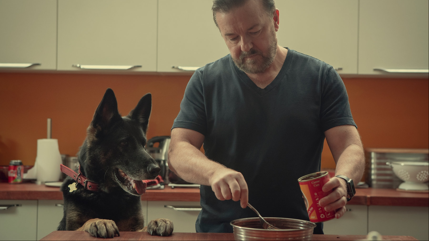 кадр из сериала Следом за жизнью